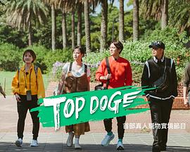 911黑料网《TOP DOG》免费在线观看