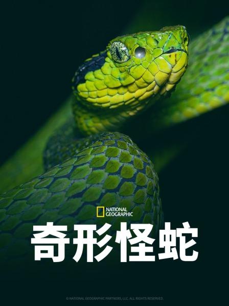 91AV《奇形怪蛇》免费在线观看